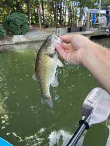IMG_8943.jpeg