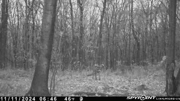 IMG_1415.jpeg.fd29d30b2e39058b9702727cd6f9c9d2.jpeg
