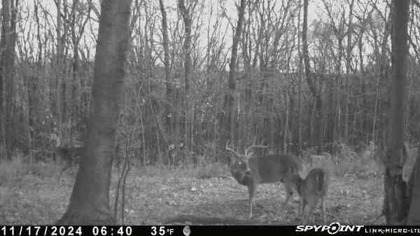 IMG_1463.jpeg.6d23cb65c9e20ac86592a1cc7bc63bf2.jpeg
