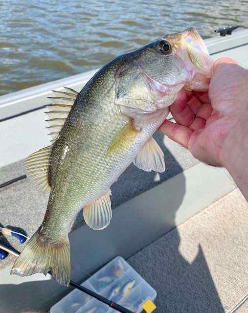 IMG_6539.jpeg.49497647dcdc9537e6a45f434f93a32d.jpeg