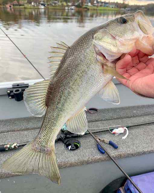 IMG_6647.jpeg.86e3ebc05ea7d880c914e02caa96e0e1.jpeg