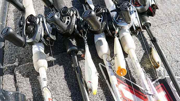 baitfish-novemer-baits-carousel.jpg
