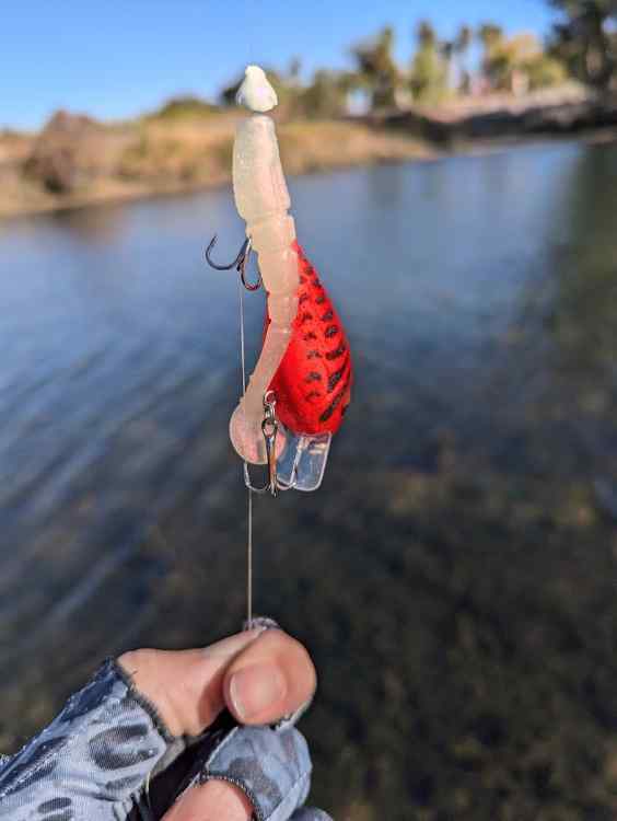 lure1.jpg.cf83e007f26073732eec4eceb664d92a.jpg