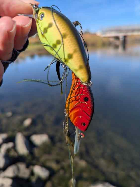 lure2.jpg.3adcd205ad5070910fa29e21fa387007.jpg
