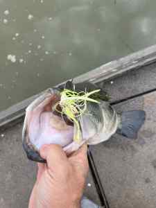 IMG_9309.jpeg