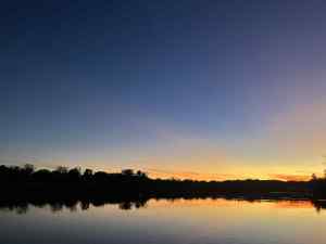 IMG_9379.jpeg