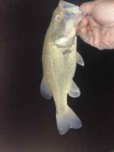 IMG_9381.jpeg