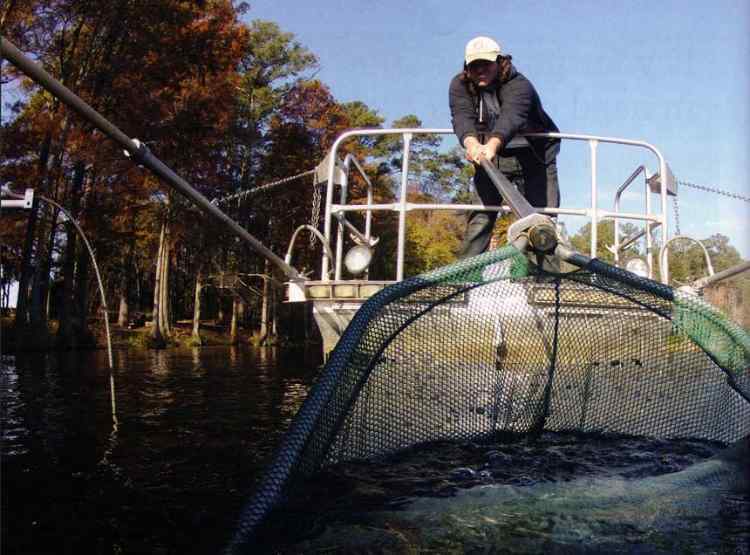 Electrofishing-When-And-Why-1-home.jpg