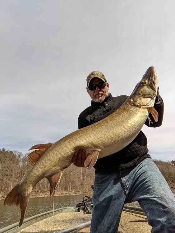 PBMUSKIE.jpeg.698adad1692434028c8e8d7eb6c2be80.jpeg