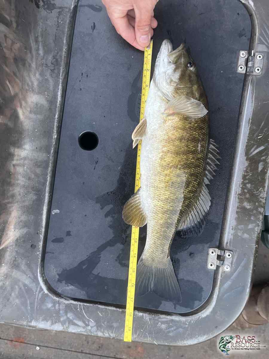large.IMG_9621.jpeg