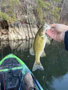 IMG_0089.jpeg