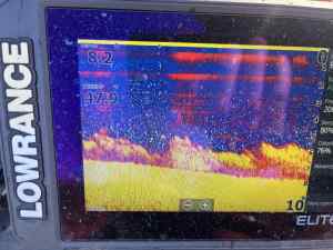 IMG_0102.jpeg