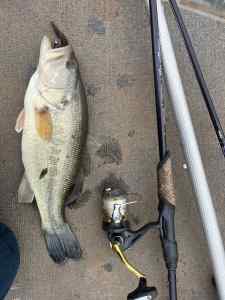 IMG_0167.jpeg