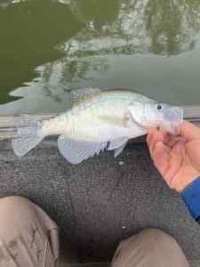 IMG_9589.jpeg