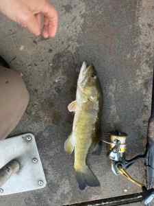 IMG_9596.jpeg