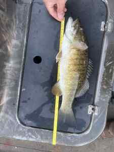 IMG_9621.jpeg