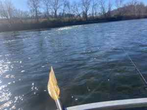 IMG_9715.jpeg