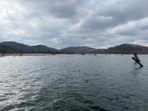 IMG_9982.jpeg