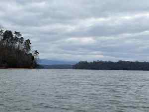 IMG_9986.jpeg