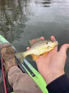 IMG_9990.jpeg