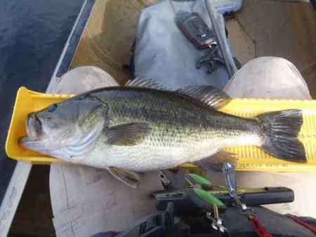thriving.jpg.70a673105f1f4073e865a8b5c411323d.jpg