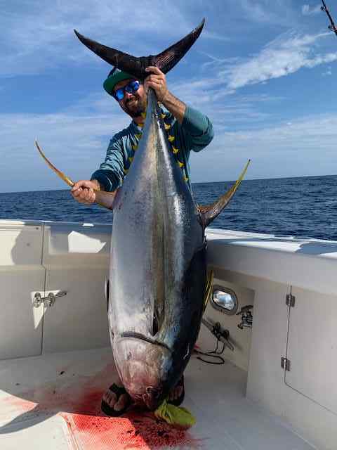 tuna12024.jpg.2a8c8dc84229e1714168b1a8c7e6218d.jpg