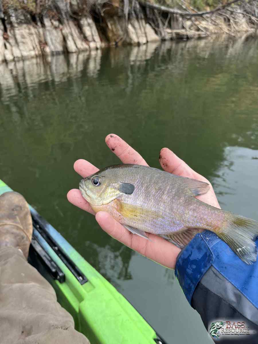 large.IMG_0326.jpeg