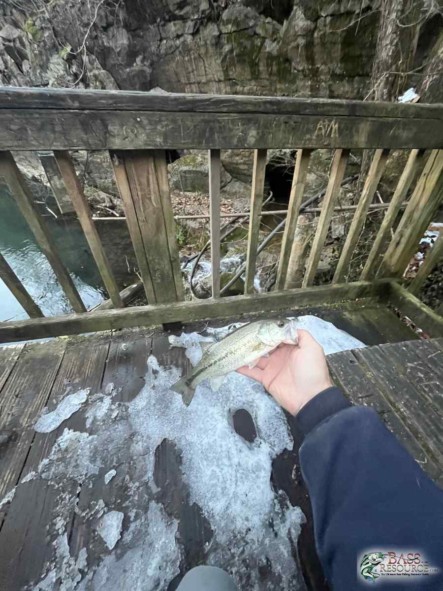 large.IMG_0515.jpeg