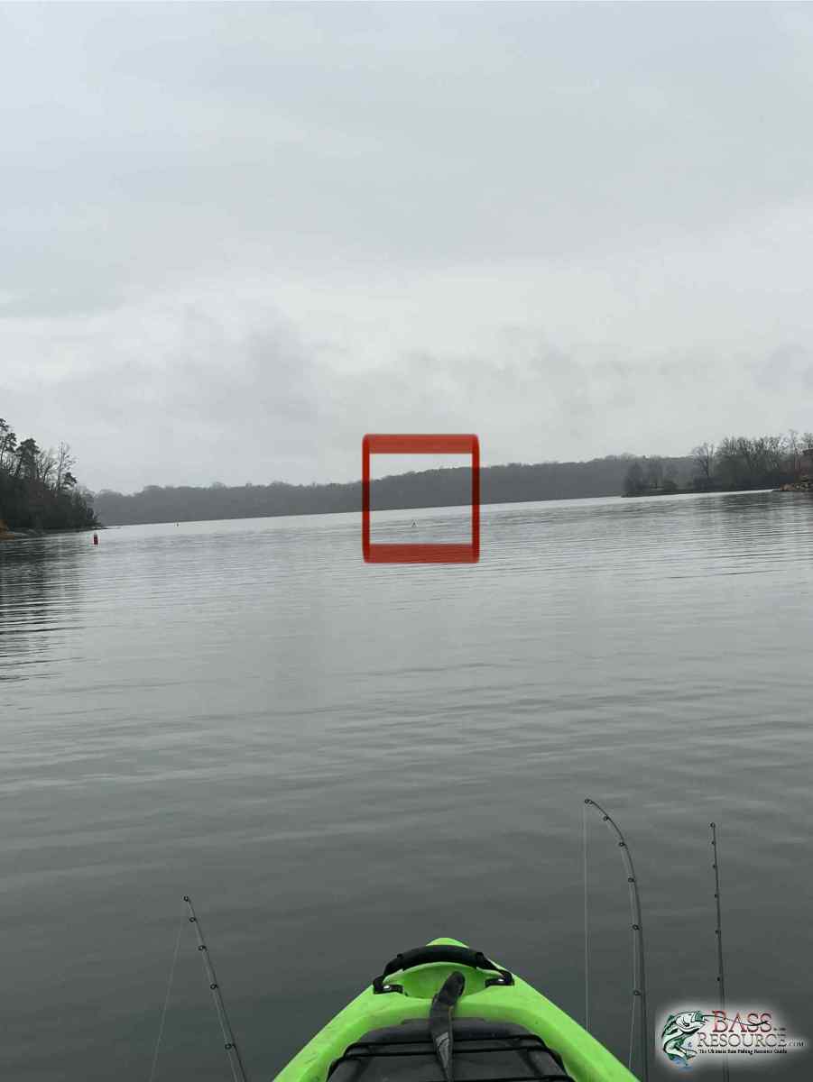 large.IMG_0536.jpeg