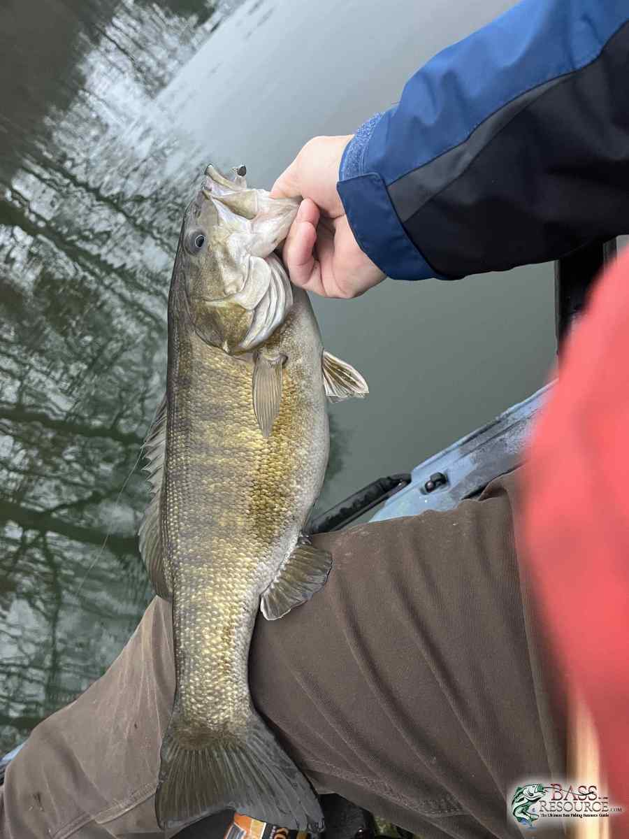 large.IMG_0566.jpeg
