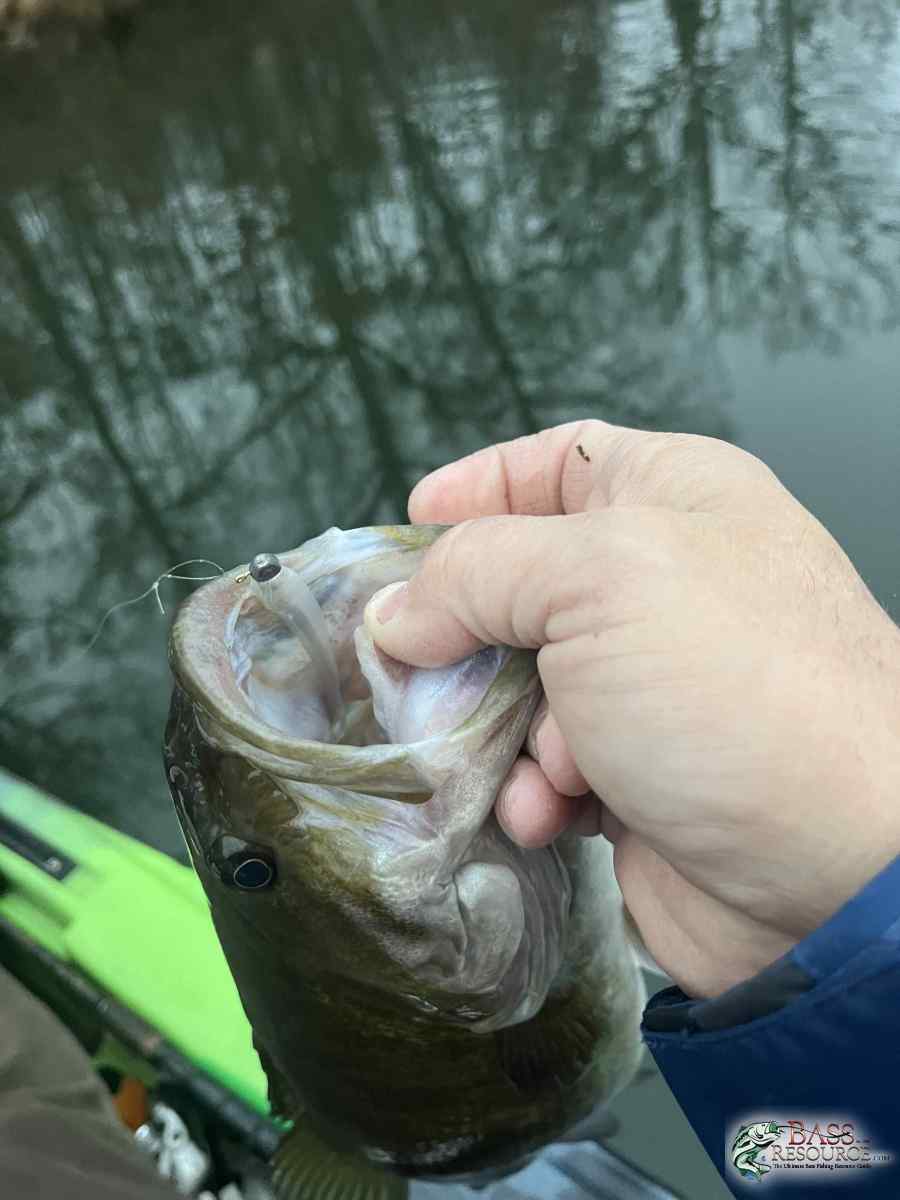 large.IMG_0567.jpeg