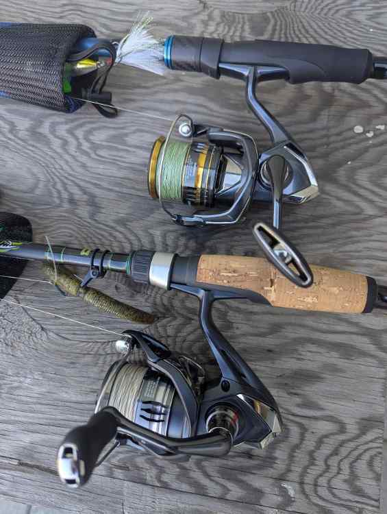 reels.jpg.8856e38fd914910e2a2e48e91642c92e.jpg