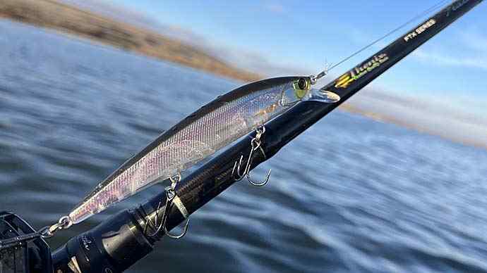 setup-jerkbaits-carousel-12325.jpg