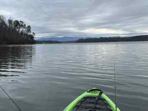 IMG_0275.jpeg