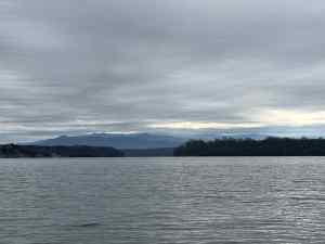 IMG_0276.jpeg