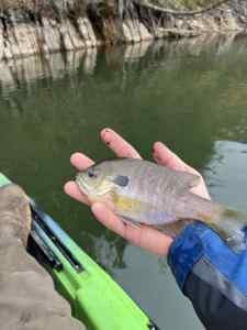 IMG_0326.jpeg