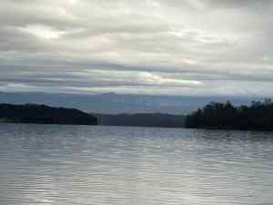 IMG_0327.jpeg