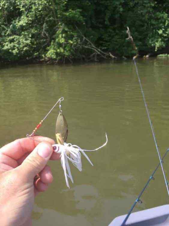 IMG_0042.jpeg.e506a20009f5d689d40506914ea82f22.jpeg