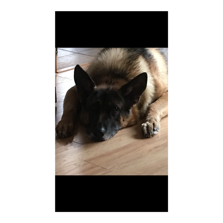 IMG_2025-02-15-080257.png.ff1f0bd3239d902d8b68add8168aa502.png