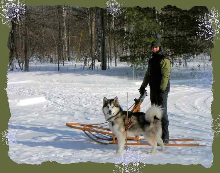 SleddingwithBrody.jpg.f7b339381616762f37da35bdaa48650c.jpg