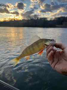 IMG_1152.jpeg
