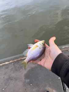 IMG_1155.jpeg