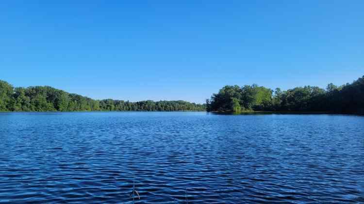 20240807_Lake3.jpg.7e3b42881cee9ce49541e908ee5c0c8e.jpg