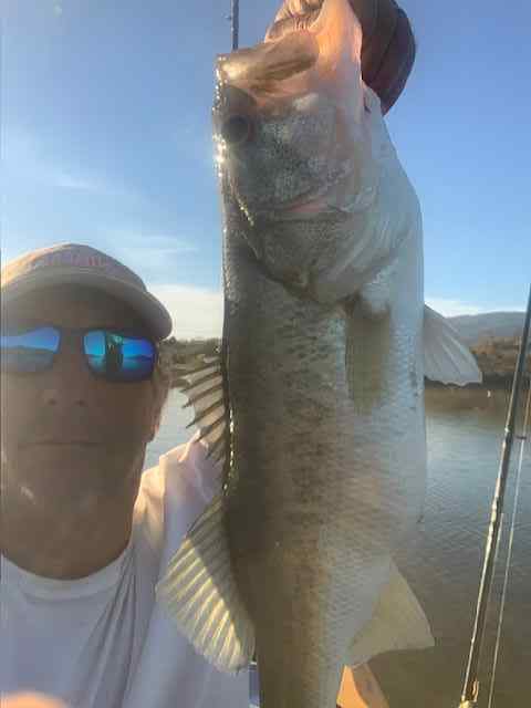 4.8poundbassMarch2025.jpg.118c0c838b7f98943c9f0e6c5796a7f9.jpg