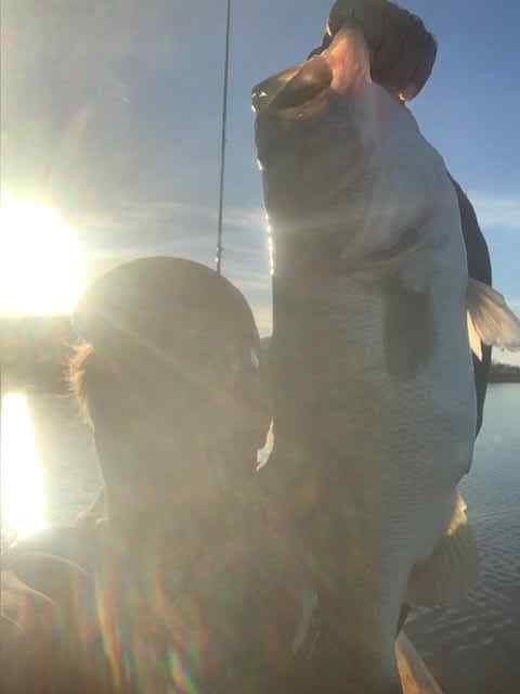 5.5poundbassmarch2025.jpg.e27caa51a37533703d353112aa064e36.jpg