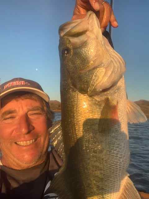7poundbassmarch2025.jpg.55dc6b8273bd4dbea53c5e75289cb1e5.jpg