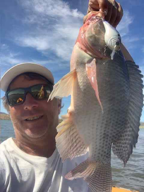 Tilapia.jpg.89f74808a0eb83056ee15076b82f1037.jpg