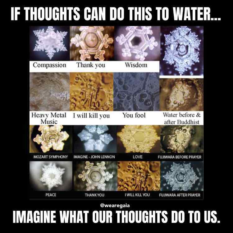 image.jpeg.f324d0c18c49a879502a95cb4ba1bba8.jpeg