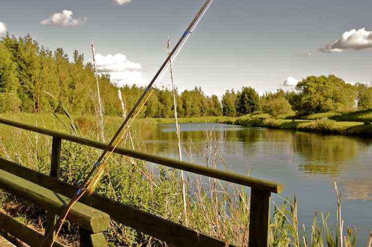 kPrbhbM-021sizeoriginal.jpeg.dcf28c58e11a5ad6f9fff33fc817cc0b.jpeg