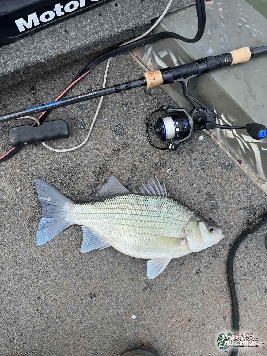 large.IMG_1442.jpeg